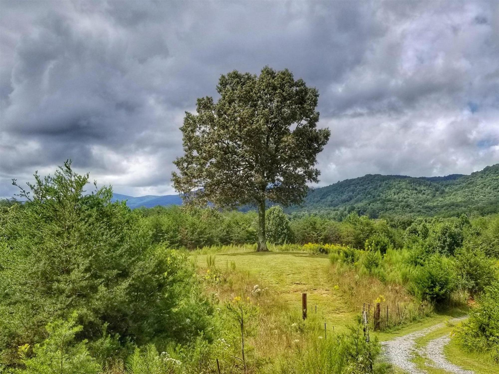 Eula Mae- Ocoee River Area Copperhill Exteriör bild
